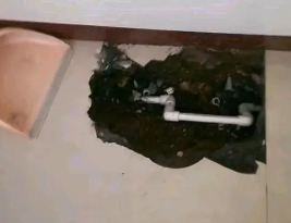 西塞山卫生间测漏水多少钱